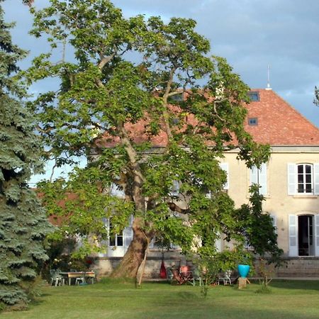 Le Clos Des Roseaux Chorey-les-Beaune Eksteriør billede
